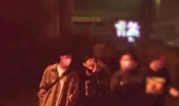 赤犬最新爆料视频,揭秘神秘事件背后的惊人真相