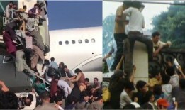 各地民众爆料视频最新版,最新动态一网打尽