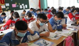 惠州学生爆料案件最新,真相揭开，校园安全再引关注